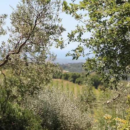 Il Boschetto * Magliano in Toscana